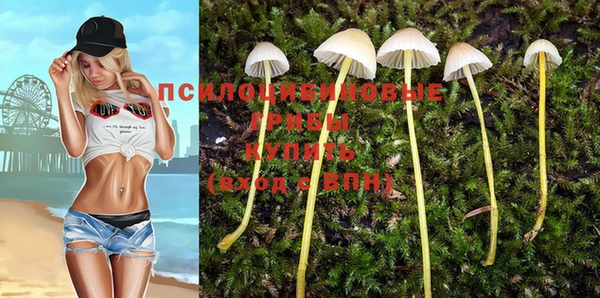 стафф Белоозёрский
