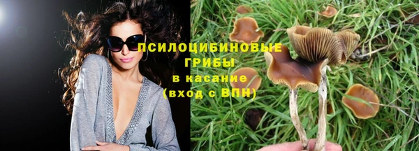 альфа пвп Белокуриха