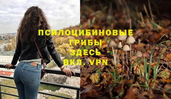 стафф Белоозёрский