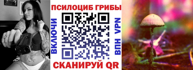Псилоцибиновые грибы Cubensis  Туапсе 